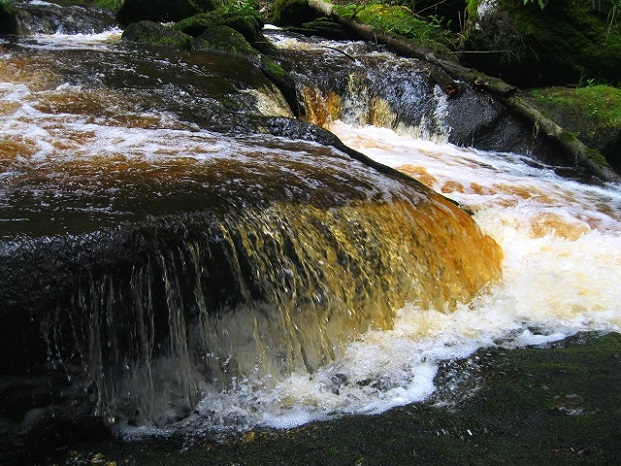 Foto: Andreas Koller / Wandertour / Bärentrail und die Kraft des Wassers (793m) / 26.04.2022 01:24:53