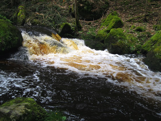 Foto: Andreas Koller / Wandertour / Bärentrail und die Kraft des Wassers (793m) / 26.04.2022 01:24:38
