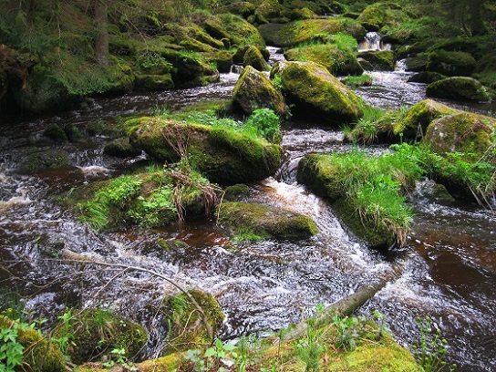 Foto: Andreas Koller / Wandertour / Bärentrail und die Kraft des Wassers (793m) / 26.04.2022 01:23:57