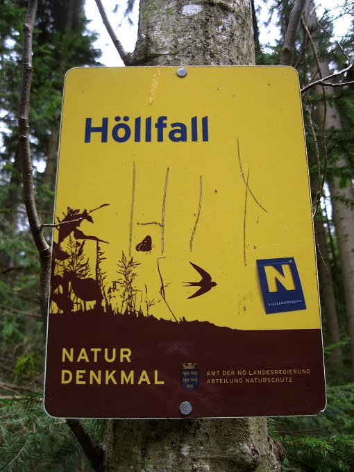 Foto: Andreas Koller / Wandertour / Bärentrail und die Kraft des Wassers (793m) / 26.04.2022 01:23:42