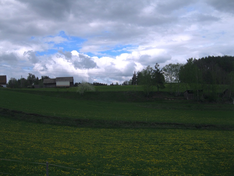 Foto: Andreas Koller / Wandertour / Bärentrail und die Kraft des Wassers (793m) / 26.04.2022 01:21:15