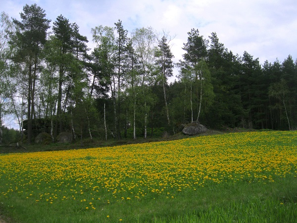 Foto: Andreas Koller / Wandertour / Bärentrail und die Kraft des Wassers (793m) / 26.04.2022 01:21:07