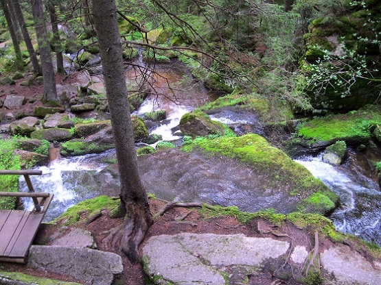 Foto: Andreas Koller / Wandertour / Bärentrail und die Kraft des Wassers (793m) / 26.04.2022 01:20:26