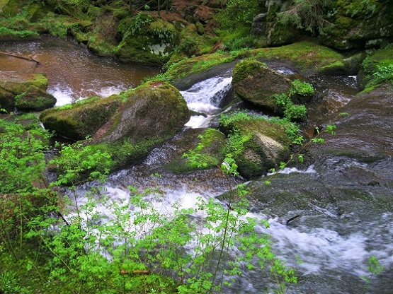 Foto: Andreas Koller / Wandertour / Bärentrail und die Kraft des Wassers (793m) / 26.04.2022 01:20:18