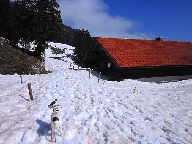 Foto: Andreas Koller / Schneeschuhtour / Zwei Schneeschuh-Gipfel im Wendelstein (1720m) / 28.04.2022 23:36:50