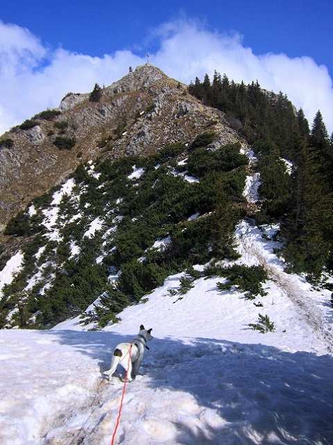 Foto: Andreas Koller / Schneeschuhtour / Zwei Schneeschuh-Gipfel im Wendelstein (1720m) / 28.04.2022 23:34:51