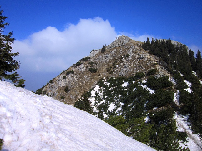 Foto: Andreas Koller / Schneeschuhtour / Zwei Schneeschuh-Gipfel im Wendelstein (1720m) / Abstieg vom Wildalpjoch / 28.04.2022 23:32:18