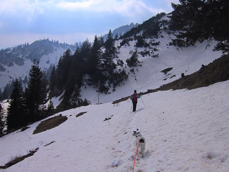 Foto: Andreas Koller / Schneeschuhtour / Zwei Schneeschuh-Gipfel im Wendelstein (1720m) / Abstieg von der Seewand / 28.04.2022 23:29:22