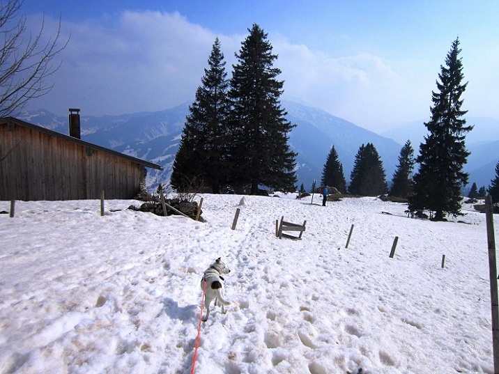 Foto: Andreas Koller / Schneeschuhtour / Zwei Schneeschuh-Gipfel im Wendelstein (1720m) / 28.04.2022 23:28:48