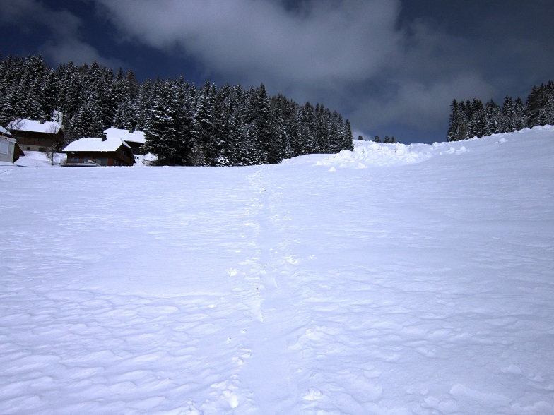Foto: Andreas Koller / Skitour / Von der Seetalerhütte auf den Hohenwart (1818m) / 29.04.2022 00:31:15