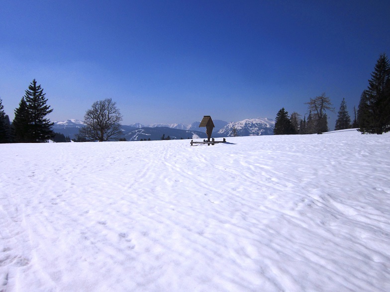 Foto: Andreas Koller / Skitour / Kleiner Wildkamm vom Niederalpl (1757m) / 10.05.2022 02:08:24
