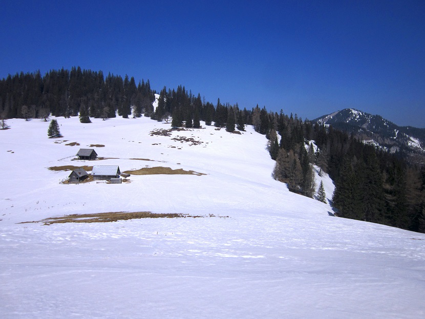Foto: Andreas Koller / Skitour / Kleiner Wildkamm vom Niederalpl (1757m) / Aufstieg von der Sohlenalm / 10.05.2022 02:07:22