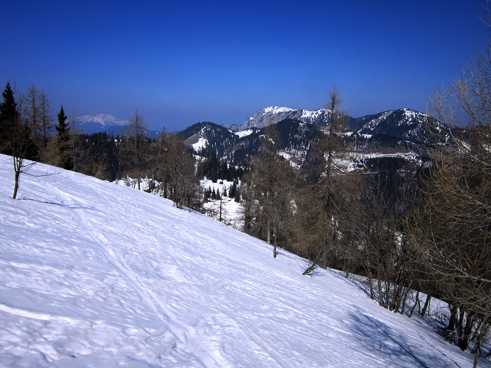 Foto: Andreas Koller / Skitour / Kleiner Wildkamm vom Niederalpl (1757m) / 10.05.2022 02:06:42