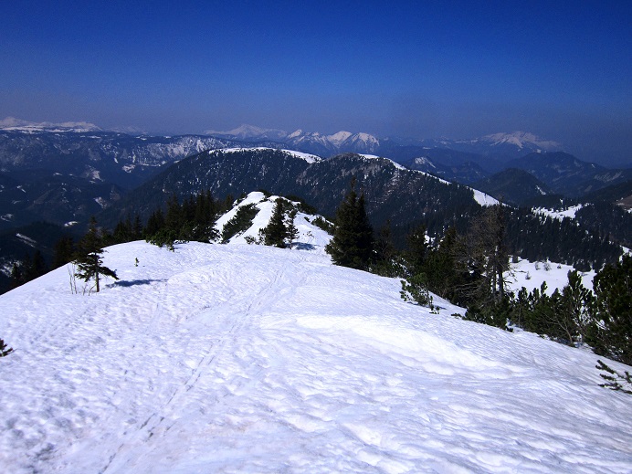 Foto: Andreas Koller / Skitour / Kleiner Wildkamm vom Niederalpl (1757m) / 10.05.2022 02:06:03