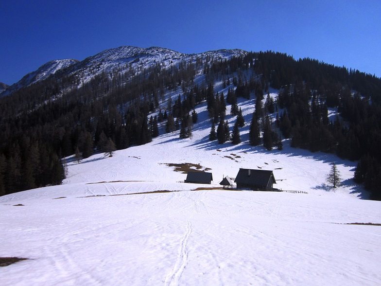 Foto: Andreas Koller / Skitour / Kleiner Wildkamm vom Niederalpl (1757m) / Gegenanstieg bei der Sohlenalm / 10.05.2022 02:01:58