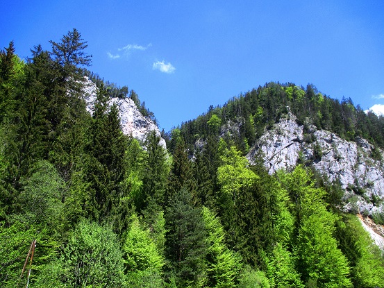 Foto: Andreas Koller / Klettersteigtour / Falkenstein Klettersteig (965m) / 20.05.2022 00:56:46