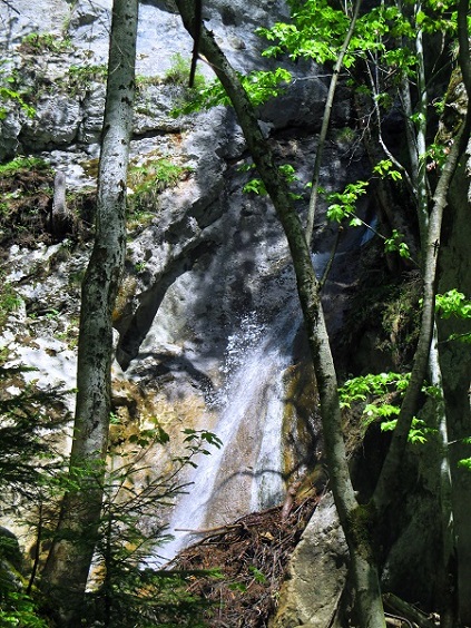 Foto: Andreas Koller / Klettersteigtour / Falkenstein Klettersteig (965m) / 20.05.2022 00:56:31