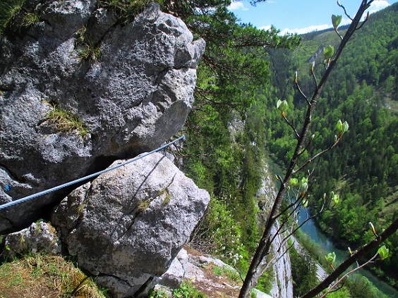 Foto: Andreas Koller / Klettersteigtour / Falkenstein Klettersteig (965m) / 20.05.2022 00:51:28