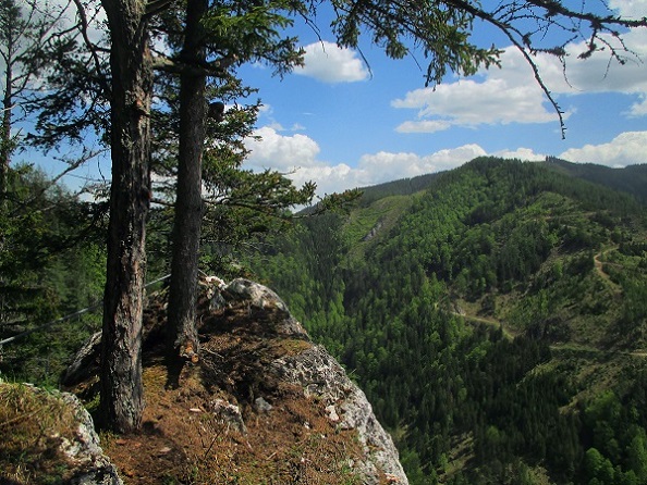 Foto: Andreas Koller / Klettersteigtour / Falkenstein Klettersteig (965m) / Ende der Drahtseile / 20.05.2022 00:49:45