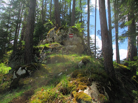 Foto: Andreas Koller / Klettersteigtour / Falkenstein Klettersteig (965m) / 20.05.2022 00:49:20