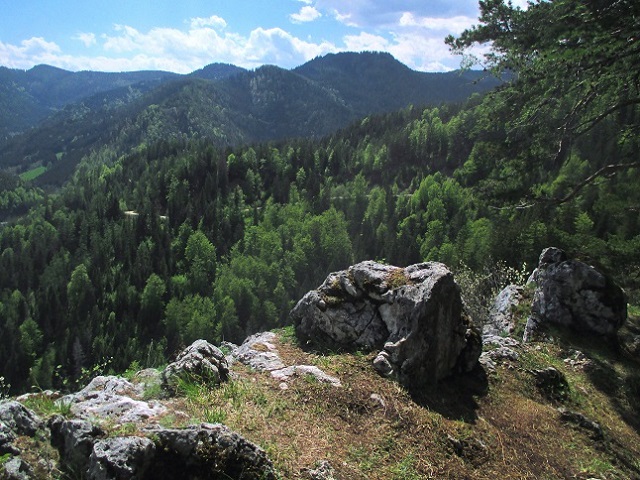 Foto: Andreas Koller / Klettersteigtour / Falkenstein Klettersteig (965m) / Gipfel Falkenstein / 20.05.2022 00:49:08