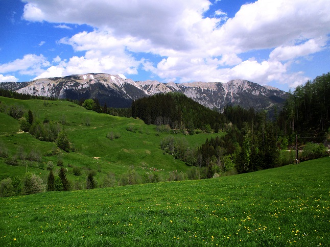 Foto: Andreas Koller / Klettersteigtour / Falkenstein Klettersteig (965m) / 20.05.2022 00:47:08