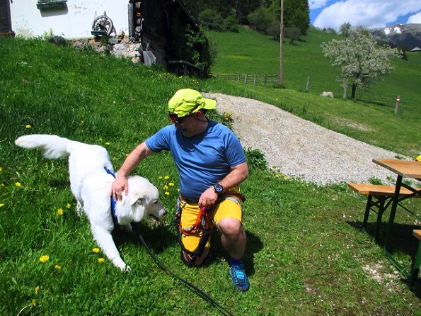 Foto: Andreas Koller / Klettersteigtour / Falkenstein Klettersteig (965m) / 20.05.2022 00:45:04