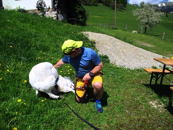 Foto: Andreas Koller / Klettersteigtour / Falkenstein Klettersteig (965m) / 20.05.2022 00:44:56
