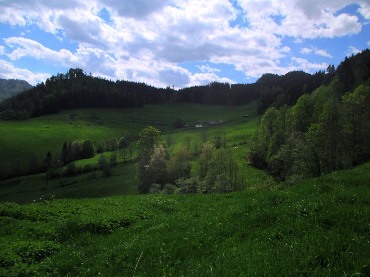 Foto: Andreas Koller / Klettersteigtour / Falkenstein Klettersteig (965m) / Rückblick vom Abstieg zur Falkensteinalm / 20.05.2022 00:43:59