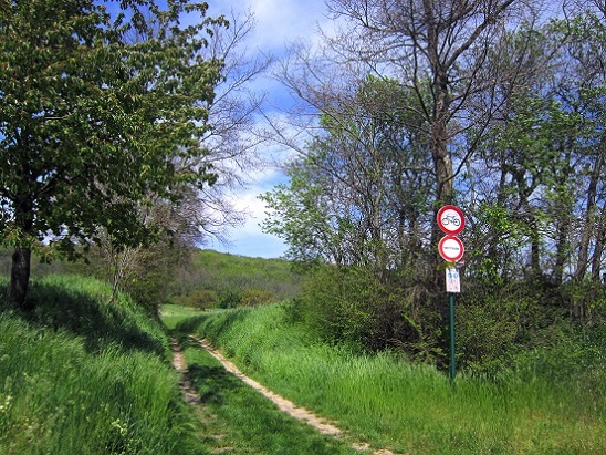Foto: Andreas Koller / Wandertour / Hauptstadtblick von der Königswarte (344m) / 22.06.2022 01:12:28
