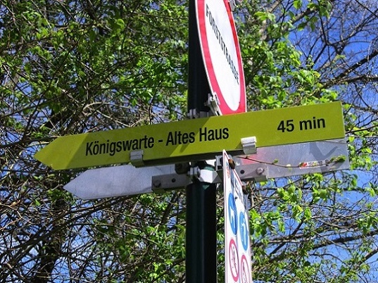 Foto: Andreas Koller / Wandertour / Hauptstadtblick von der Königswarte (344m) / 22.06.2022 01:12:21