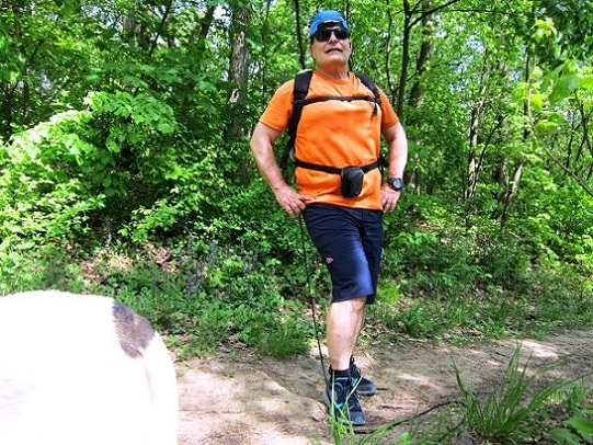 Foto: Andreas Koller / Wandertour / Hauptstadtblick von der Königswarte (344m) / 22.06.2022 01:11:22