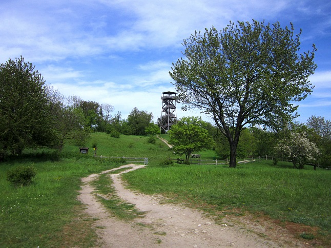 Foto: Andreas Koller / Wandertour / Hauptstadtblick von der Königswarte (344m) / Am Königswarte Berg / 22.06.2022 01:10:58