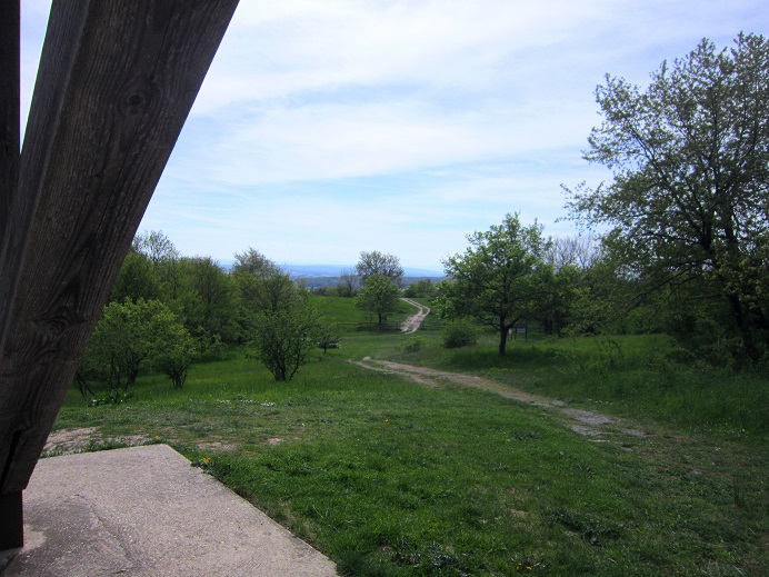 Foto: Andreas Koller / Wandertour / Hauptstadtblick von der Königswarte (344m) / Aufstieg auf die Königswarte / 22.06.2022 01:10:29