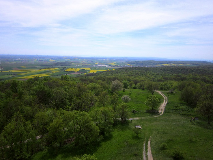 Foto: Andreas Koller / Wandertour / Hauptstadtblick von der Königswarte (344m) / 22.06.2022 01:10:06