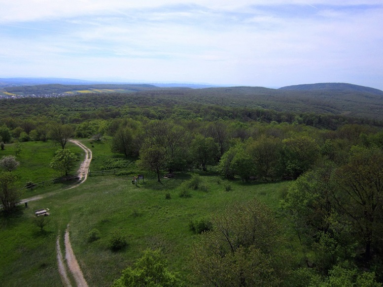 Foto: Andreas Koller / Wandertour / Hauptstadtblick von der Königswarte (344m) / 22.06.2022 01:09:59