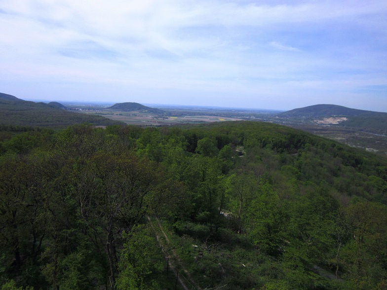Foto: Andreas Koller / Wandertour / Hauptstadtblick von der Königswarte (344m) / 22.06.2022 01:09:51