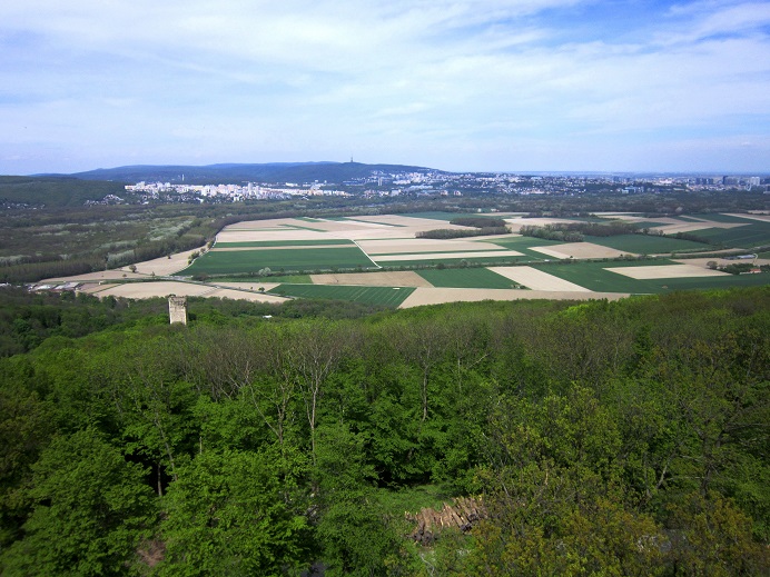 Foto: Andreas Koller / Wandertour / Hauptstadtblick von der Königswarte (344m) / 22.06.2022 01:09:45