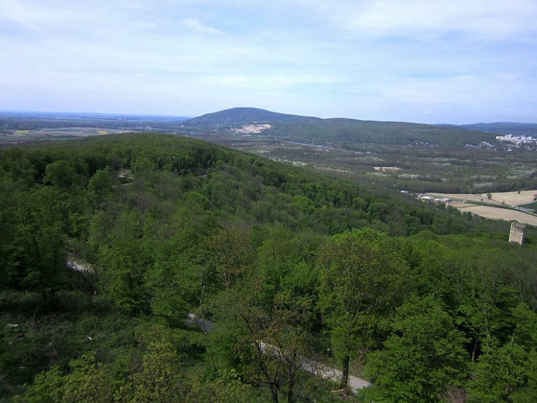 Foto: Andreas Koller / Wandertour / Hauptstadtblick von der Königswarte (344m) / 22.06.2022 01:09:30