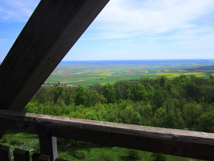 Foto: Andreas Koller / Wandertour / Hauptstadtblick von der Königswarte (344m) / 22.06.2022 01:08:46