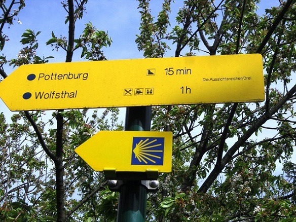 Foto: Andreas Koller / Wandertour / Hauptstadtblick von der Königswarte (344m) / 22.06.2022 01:07:54