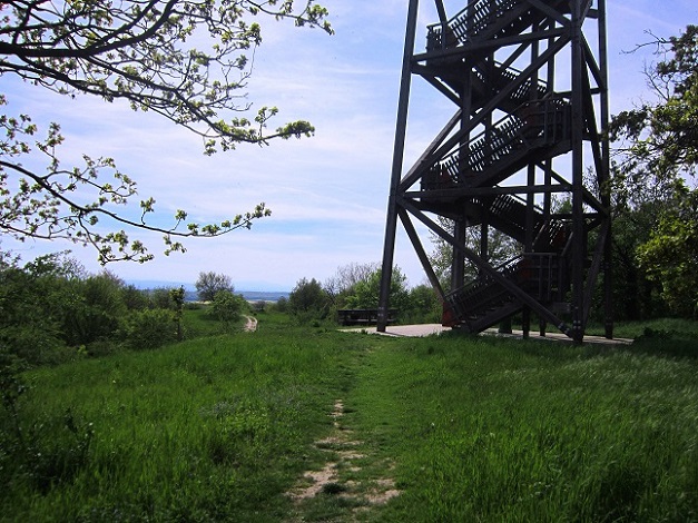 Foto: Andreas Koller / Wandertour / Hauptstadtblick von der Königswarte (344m) / Abstieg von der Königswarte / 22.06.2022 01:07:24