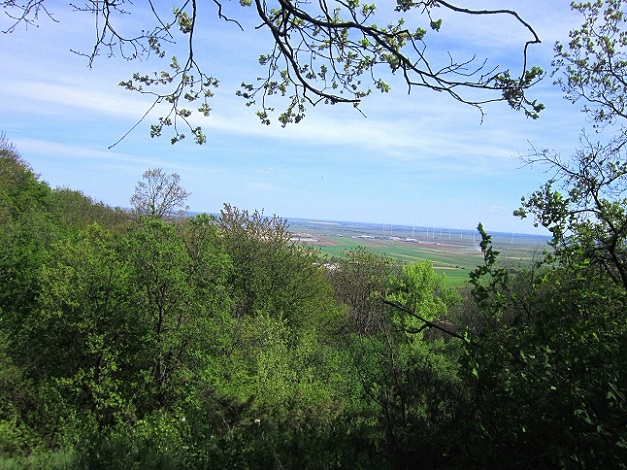 Foto: Andreas Koller / Wandertour / Hauptstadtblick von der Königswarte (344m) / 22.06.2022 01:06:45