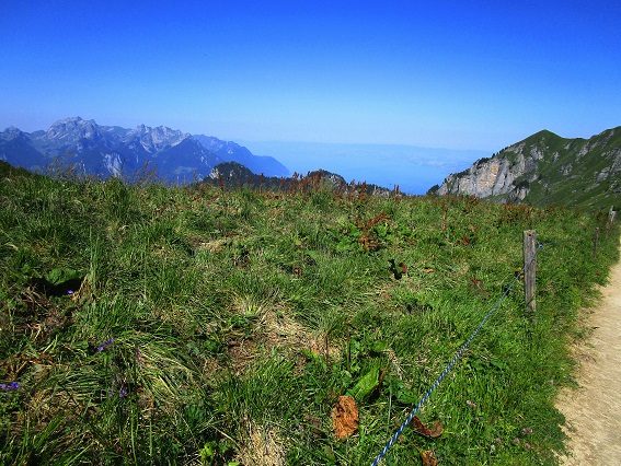 Foto: Andreas Koller / Klettersteigtour / Via ferrata Tour dŽAi (2331m) / 05.08.2022 13:46:20