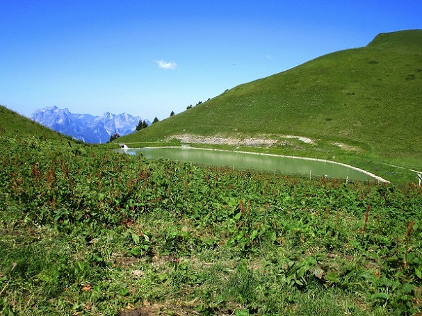 Foto: Andreas Koller / Klettersteigtour / Via ferrata Tour dŽAi (2331m) / 05.08.2022 13:46:05