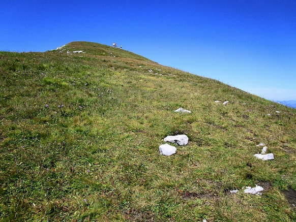 Foto: Andreas Koller / Klettersteigtour / Via ferrata Tour dŽAi (2331m) / Nur mehr den kurzen Grashang zum Gipfel hinauf / 05.08.2022 13:43:17