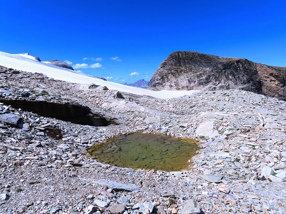 Foto: Andreas Koller / Wandertour / Pointe de la Rechasse (3212m) / 05.08.2022 18:39:34