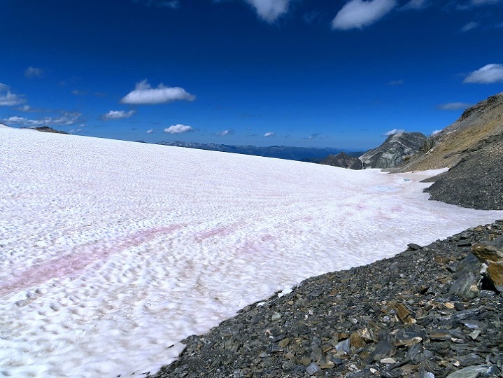 Foto: Andreas Koller / Wandertour / Pointe de la Rechasse (3212m) / 05.08.2022 18:37:57