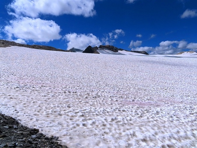 Foto: Andreas Koller / Wandertour / Pointe de la Rechasse (3212m) / 05.08.2022 18:37:49