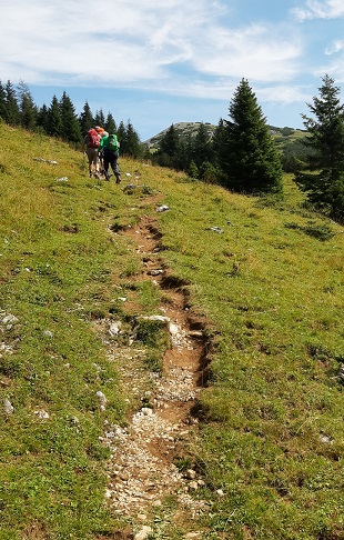 Foto: Wolfgang Dröthandl / Wandertour / Hochobir vom Schaidasattel / Nach ca. zwei Stunden Ausstieg auf das Hochplateau / 02.09.2022 15:00:37